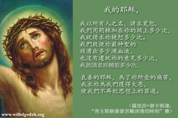 我以所有人之名請求寬恕