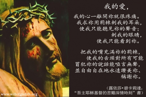 我求祢用荆棘刺我的各器官
