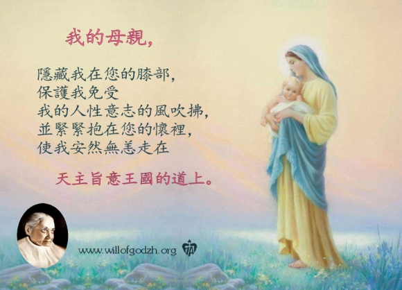 聖母使我走在天主旨意王國的道上